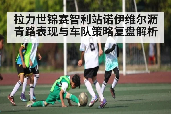 拉力世锦赛智利站诺伊维尔沥青路表现与车队策略复盘解析